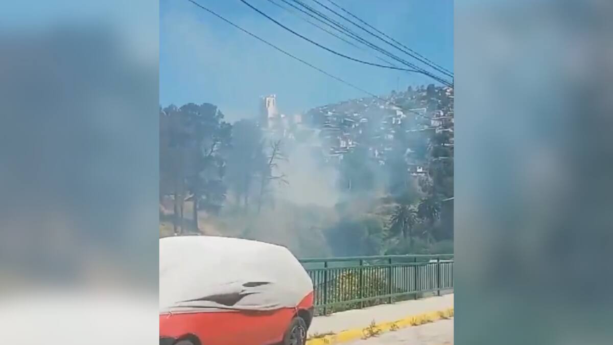 Incendio forestal afecta a sector de Cerro Alegre en Valparaíso