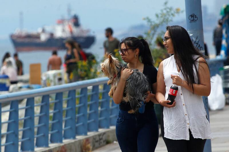 La ciudad costera ofrece varios panoramas imperdibles para hacer durante estas vacaciones.