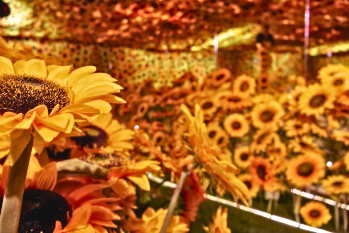 El panorama en Santiago para disfrutar durante el otoño. Foto: Van Gogh Vivo en Instagram.