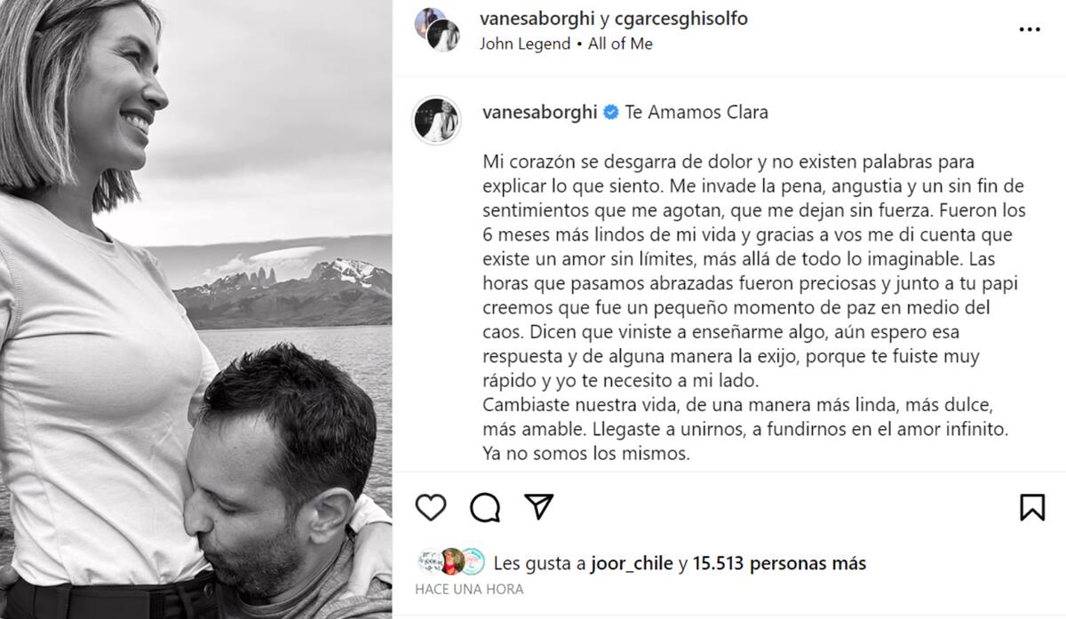 Publicación de Instagram de Vanesa Borghi