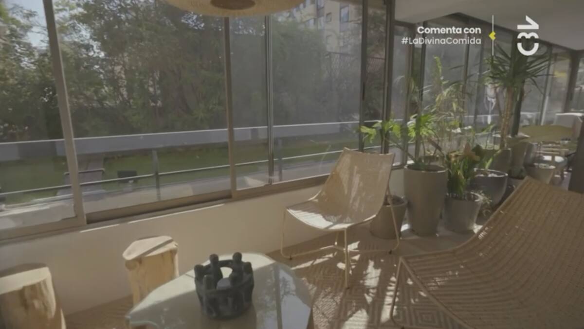 El rincón lleno de naturaleza del departamento de Vanesa Borghi