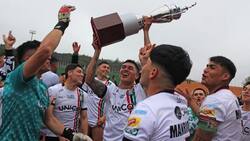 Audax Italiano y un nuevo Fernández Vial: los sorpresivos clubes que postularon a la Tercera B 2025