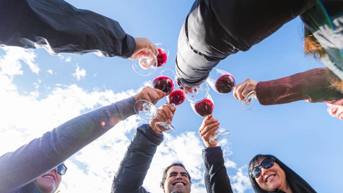 Vendimia en el centro de Santiago: Fechas y precio de las entradas para la gran fiesta del vino en la Región Metropolitana