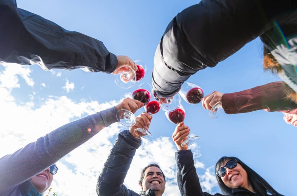 Vendimia en el centro de Santiago: Fechas y precio de las entradas para la gran fiesta del vino en la Región Metropolitana