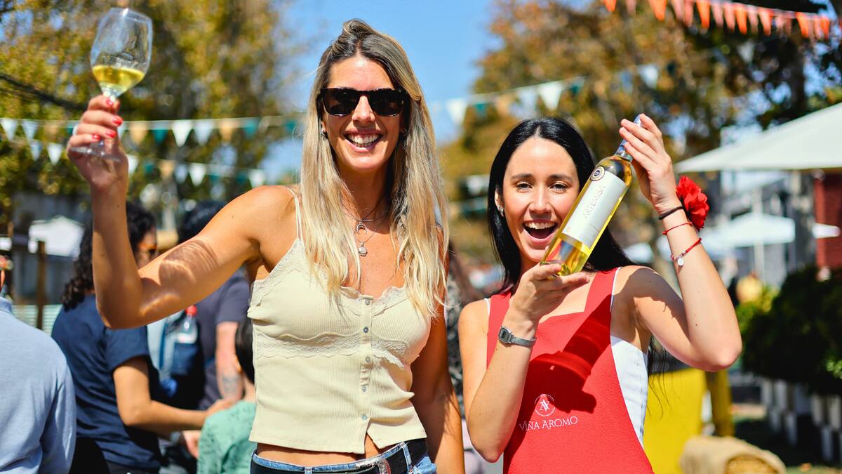 Vendimia Fest Santiago 2026 en Barrio Italia: fechas, precios y qué viñas participan