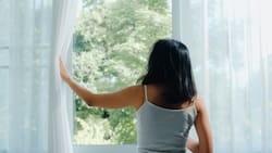 Esta es la mejor hora para ventilar la casa y no sufrir insomnio en las calurosas noches de verano