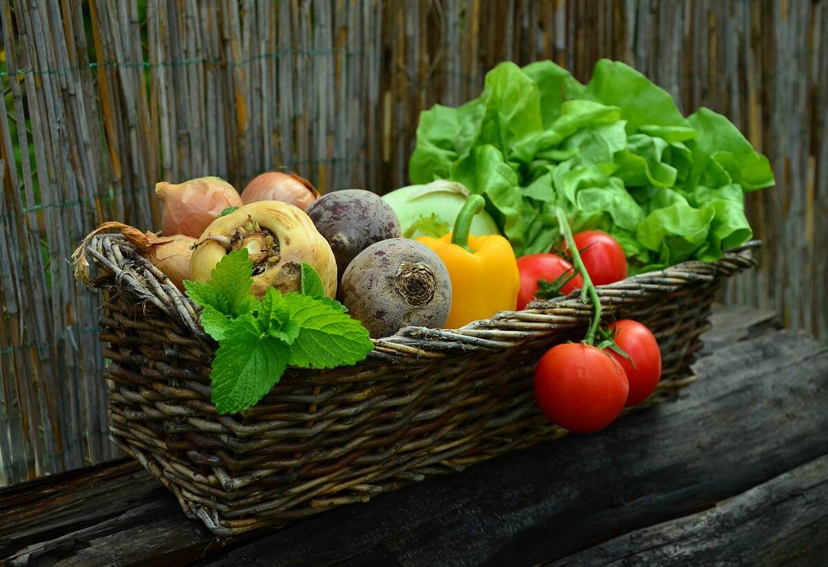Estas cuarto verduras son una rica fuente de antioxidante y por ende, aliado para producir colágeno. (Pixabay)
