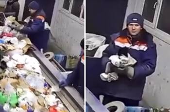 VIDEO| Hombre rescata a gatito que tiraron a la basura y se viraliza