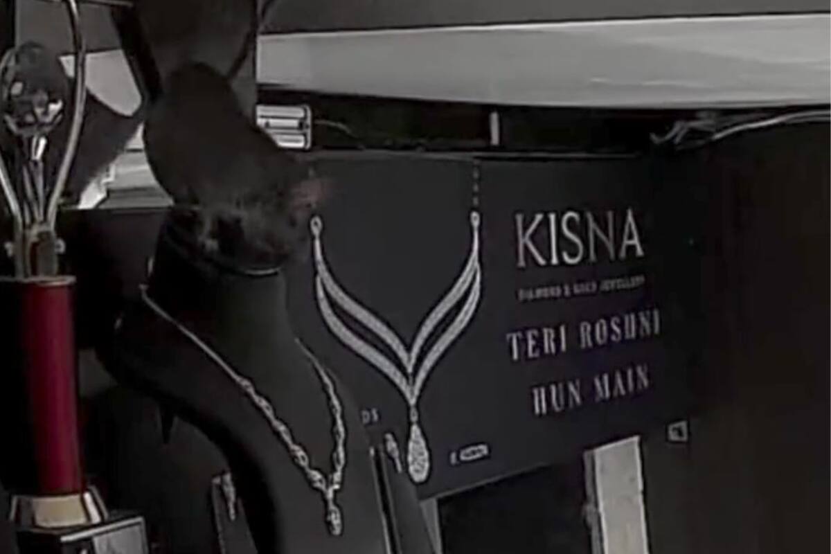 Una rata roba lujoso collar de diamantes de una joyería. Créditos: Captura Video