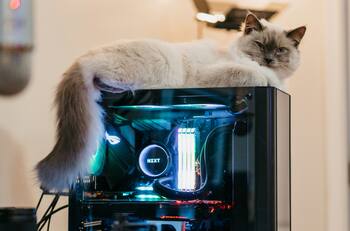 ¡Miaw! Estos juegos basados en gatos serán lanzados durante los últimos días de febrero