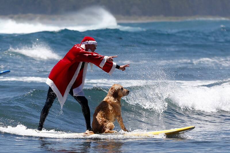 Pichilemu 18 de Diciembre 2016. 
Invitado por el Instituto Nacional del Turismo, los gremios de la camaras de Turismo y comercio el Viejo Pascuero llego a la costa de Pichilemu arriba de una tabla de surf. La actividad que se realizo sobre las olas de la playa La Puntilla, es una intervencion al aire libre en donde participaro UN CONNOTADO maestro del  Surf Elvis Muñoz, Carlos Alvares, Julio Ibarra Maldonado junto a un golden retrevier vestido del popular personaje navideño. La iniciativa que busca llevar la Navidad incluso sobre la olas, proponemos consagrar una vez mas a Pichilemu como la capital del surf.
Javier Torres/Aton Chile