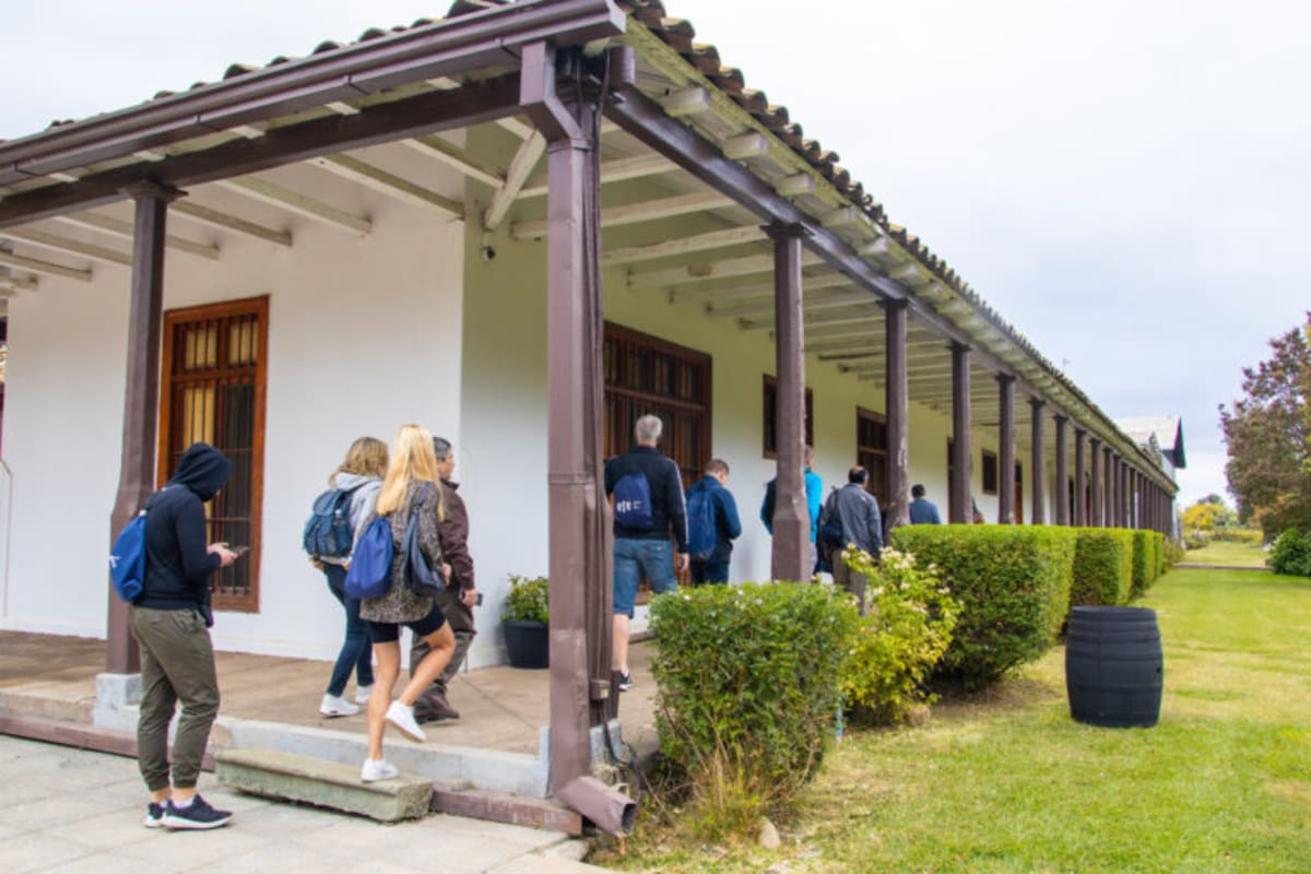 Conoce todos los detalles de este tren turístico: Créditos: EFE