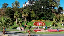 ¿Cuánto cuesta una escapada a Viña del Mar? Precio de los pasajes y hospedaje para el próximo fin de semana largo del 31 de octubre