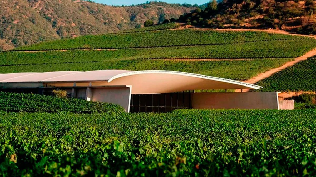 Esta viña chilena fue elegida como la mejor del mundo: ¿Dónde está, cómo llegar y cuánto cuesta una visita?