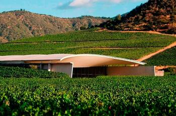 Esta viña chilena fue elegida como la mejor del mundo: ¿Dónde está, cómo llegar y cuánto cuesta una visita?