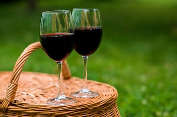 Vuelve la Fiesta de la Vendimia de Peñaflor: ¿Cuándo y dónde se realizará el evento?