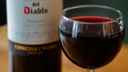 El vino chileno sigue causando furor en el mundo: esta es la increíble cantidad de cajas exportadas