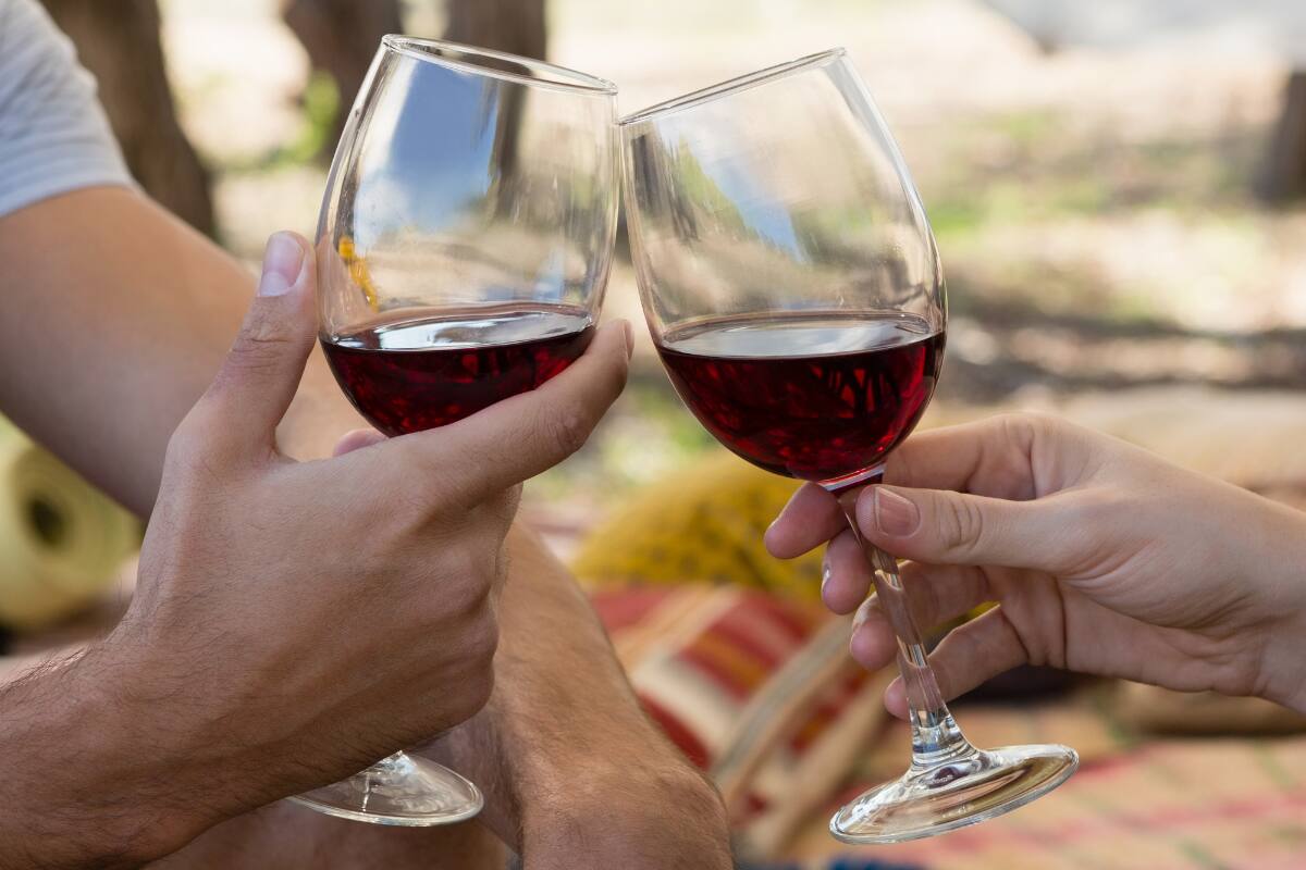 En el evento, se podrán degustar vinos de más de 20 de las mejores viñas del sector.