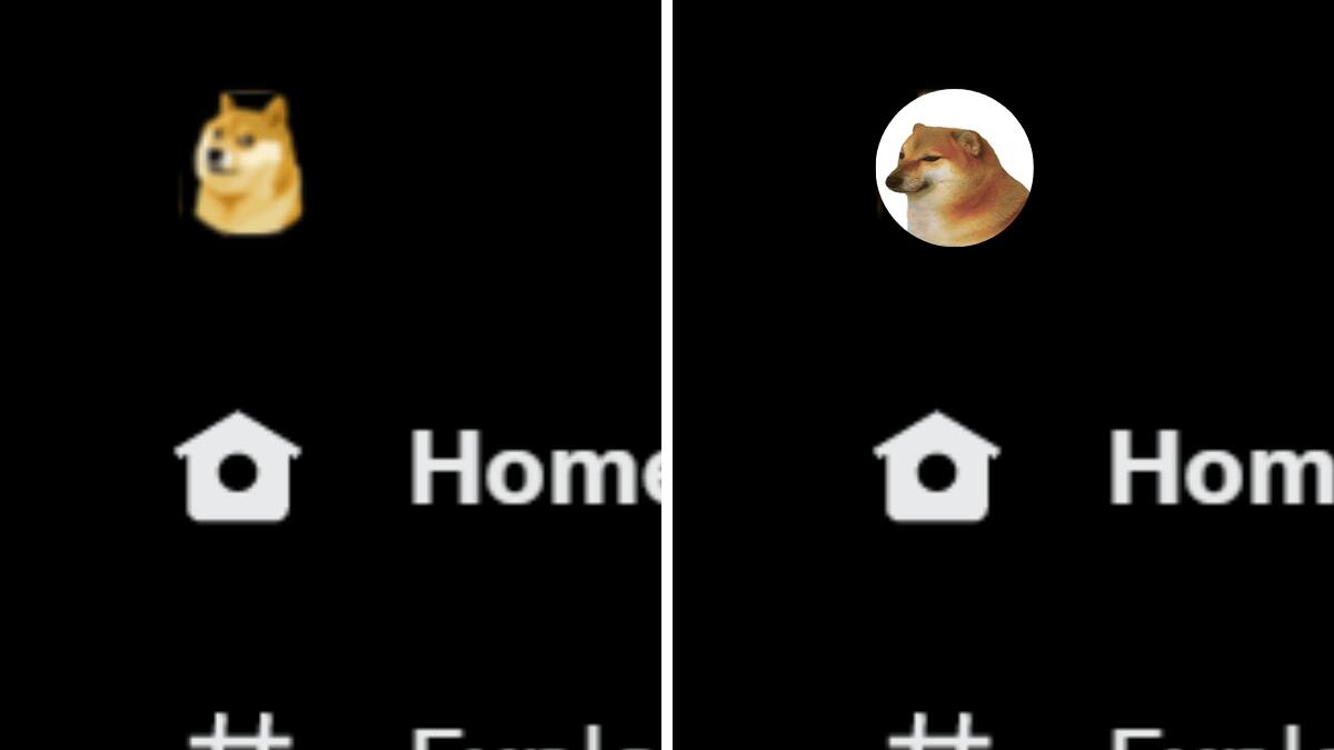 Colocan Dogecoin en logo de Twitter y usuarios lo confunden con Cheems