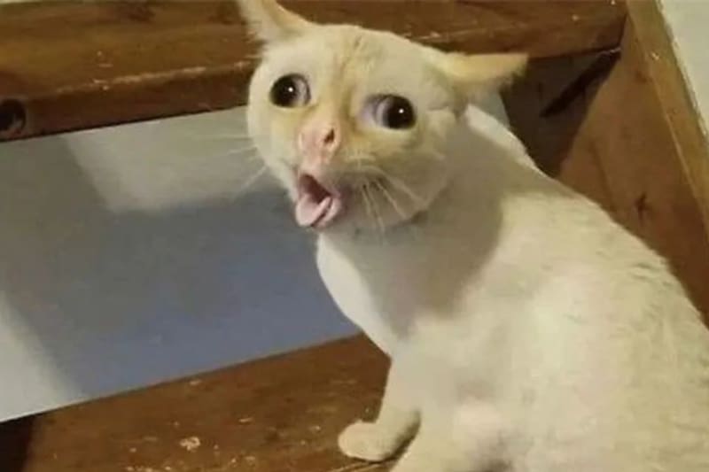 Si eres alguien pulcro, ordenado y muy meticuloso, es probable que dentro de tu Carta Astral esté Virgo.