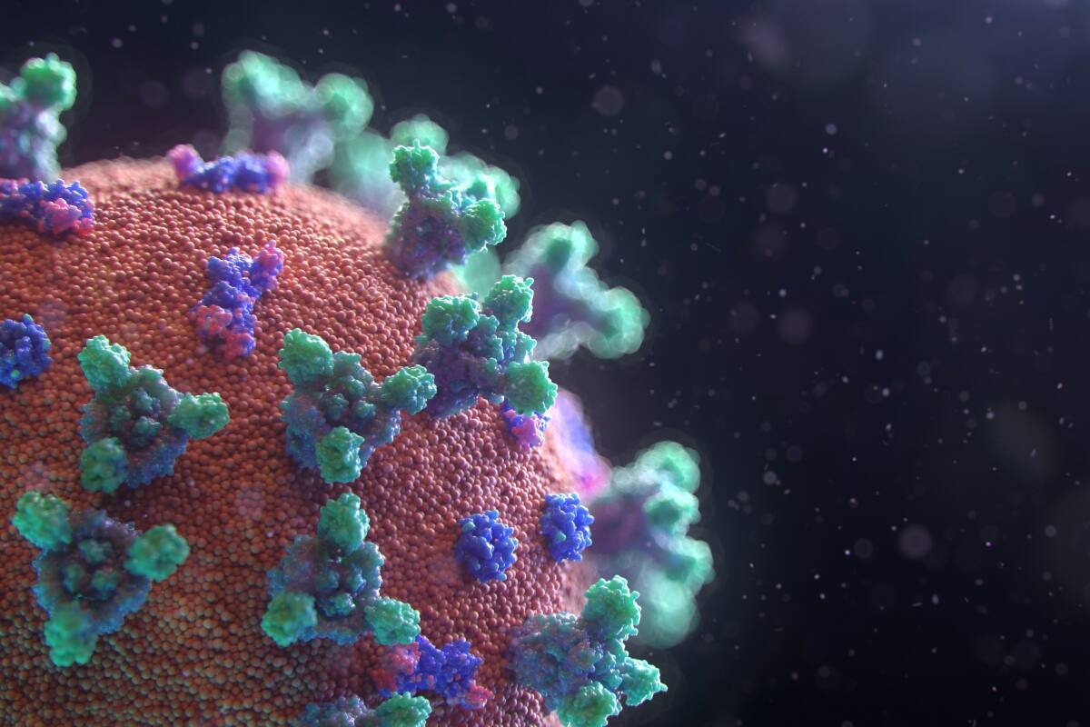Los avances del virus en África.