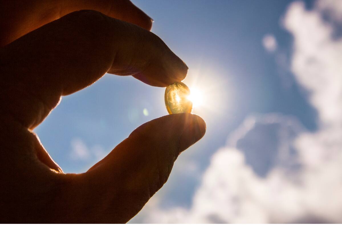 Alimentos ricos en vitamina D para mantenerte saludable este invierno según National Geographic