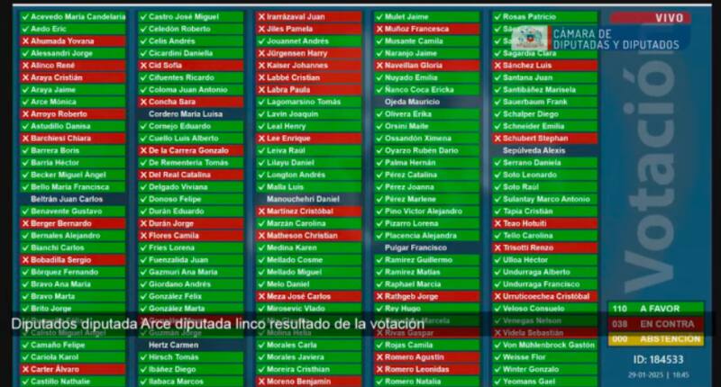 en la Cámara de Diputadas y Diputados. Créditos: Captura YouTube.