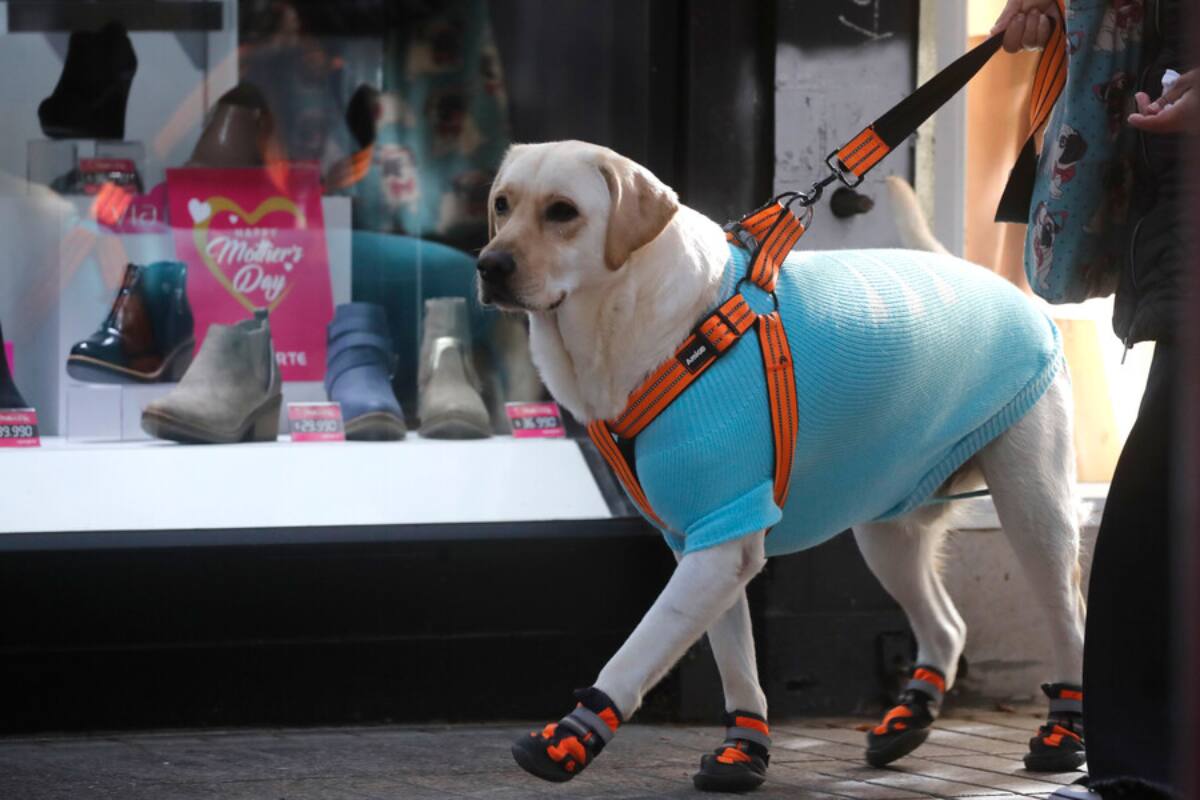 tras paso de sistema frontal.