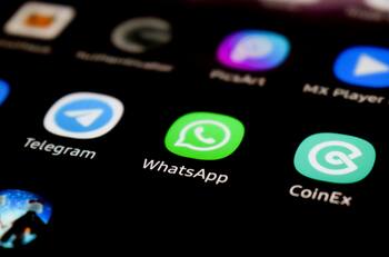 ¿Orejas de gato o rubor? Así puedes activar los efectos de imagen de WhatsApp