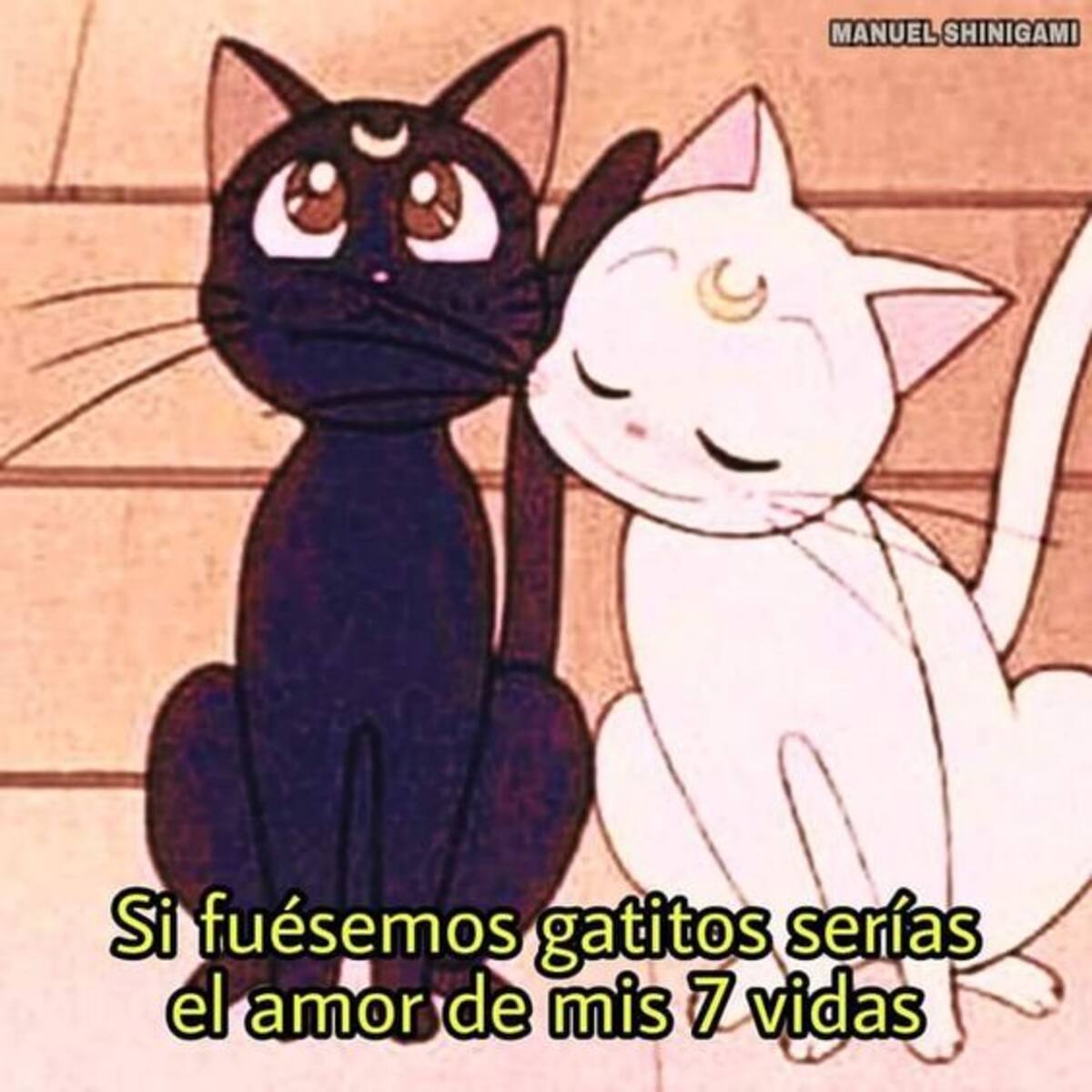 Expresa tu amor con esas imágenes.