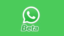 Así puedes unirte a la Beta de WhatsApp y probar antes que todos sus nuevas funciones
