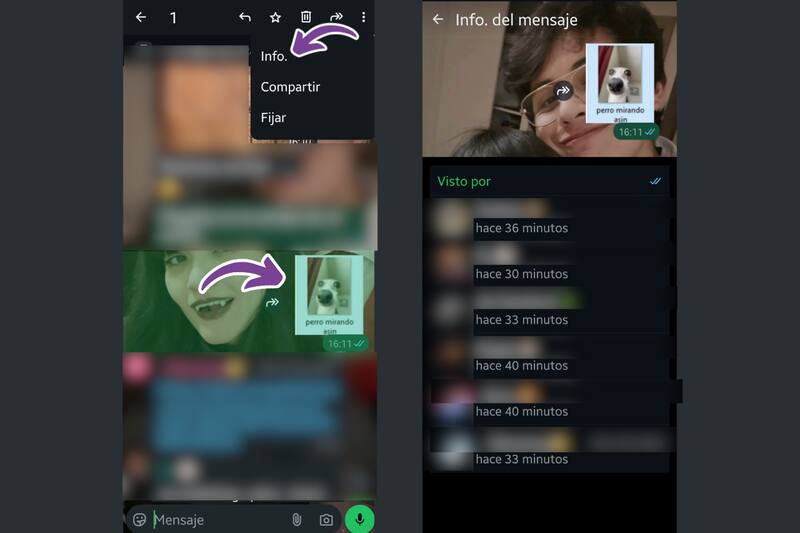 Sigue estos pasos para saber quién vio tu mensaje en un chat grupal.