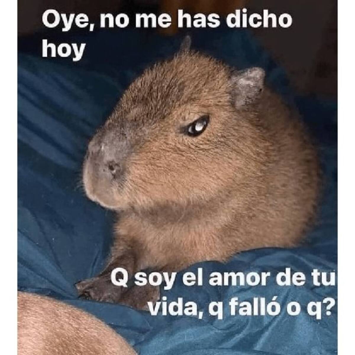 Expresa tu amor con esas imágenes.