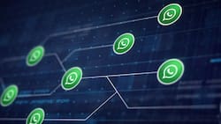 ¿Qué es Copilot y para qué sirve la nueva IA que llega a WhatsApp?