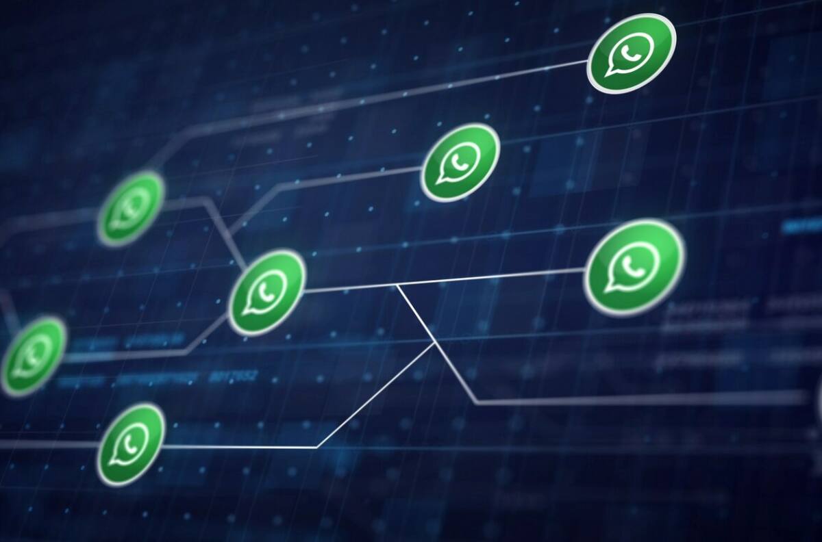 Sigue estos pasos para borrar archivos de WhatsApp que solo te ocupan espacio