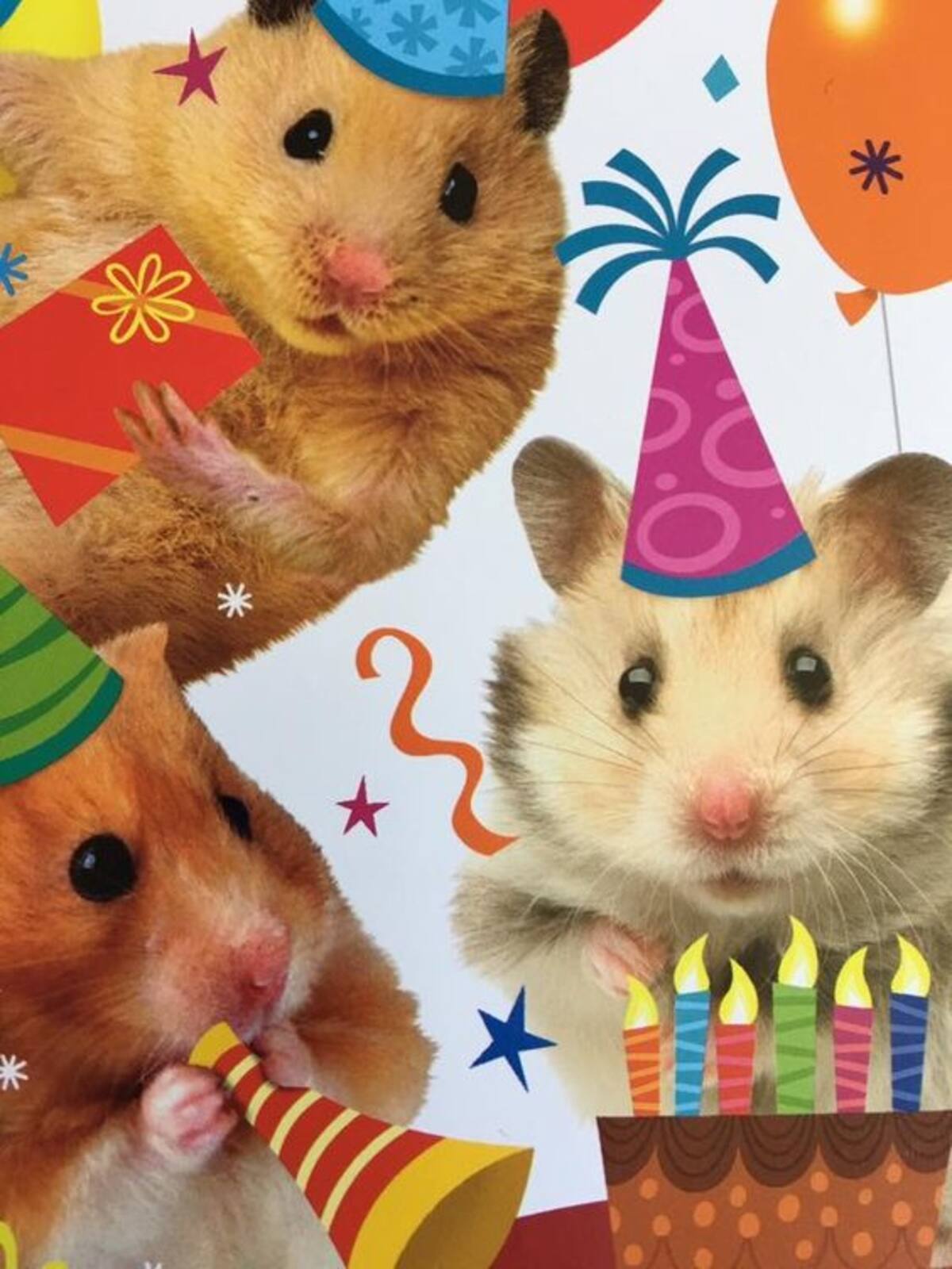 ¡Envía los mejores saludos de cumpleaños por WhatsApp!