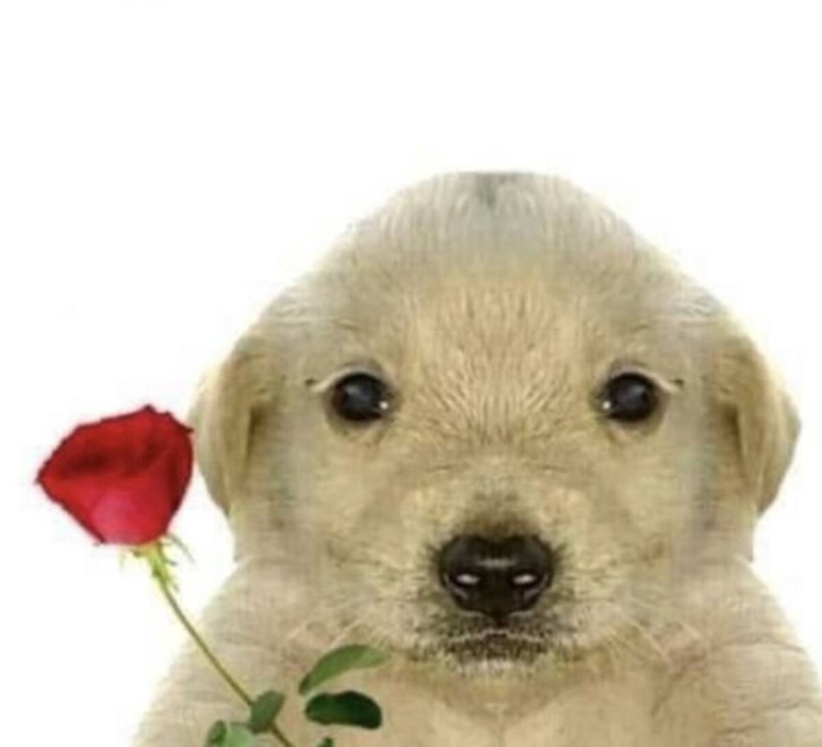 Expresa tu amor con esas imágenes.