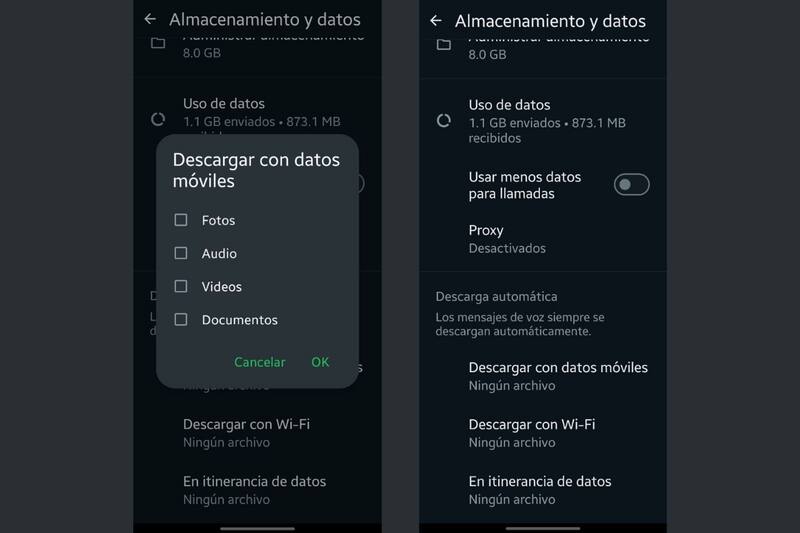 Deberás presionar todos los tipos de archivo que no quieres que se descarguen automáticamente.