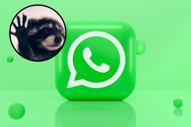 Aprende a mandar videos circulares.
