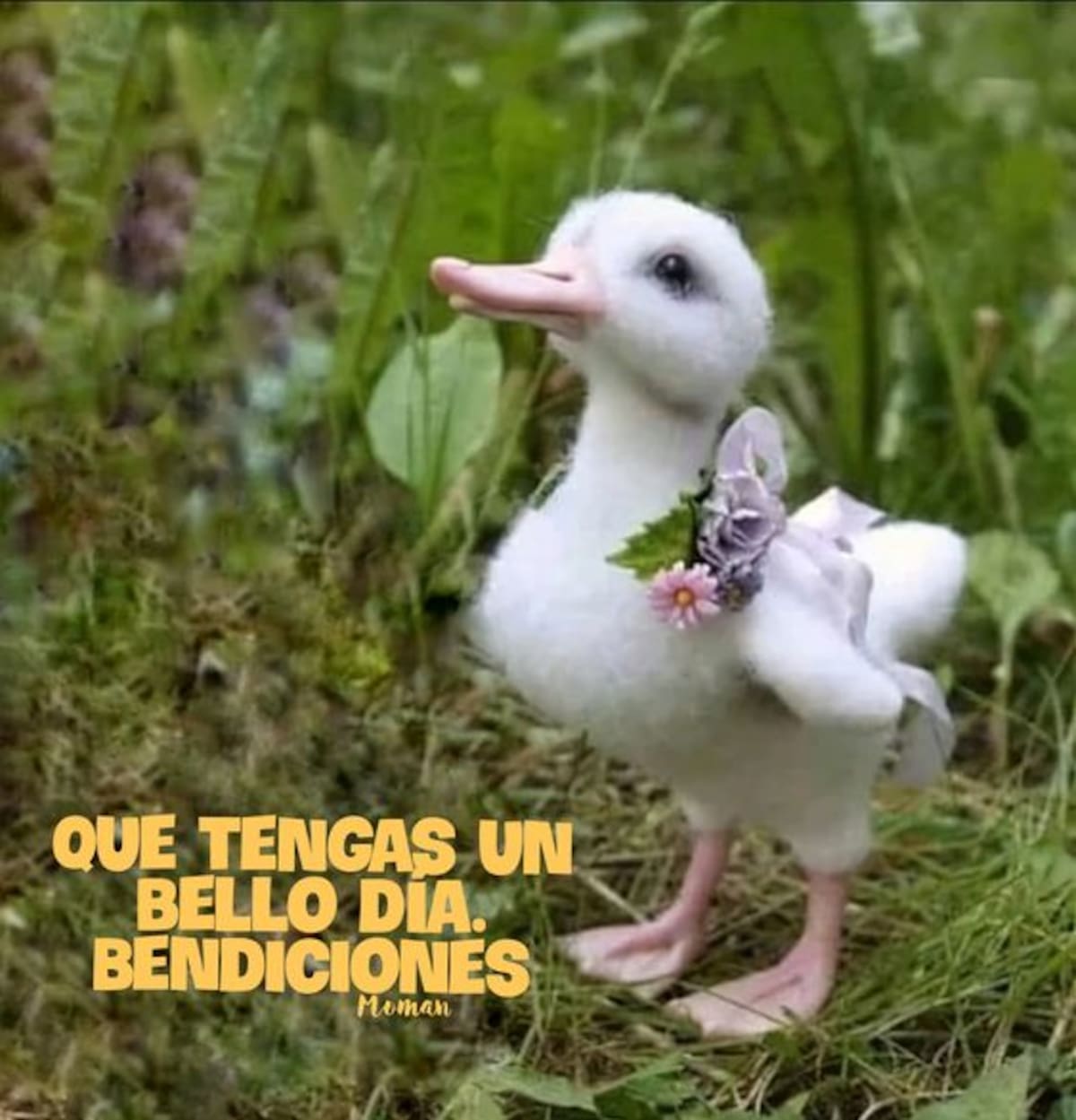 Envíales por WhatsApp estas hermosas imágenes a tus seres queridos. Créditos: Pinterest.
