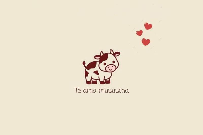 Revisa las más de 50 fotos de amor que puedes enviarle a tus contactos.