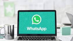WhatsApp habilitará importante función en su versión web: así es la nueva actualización