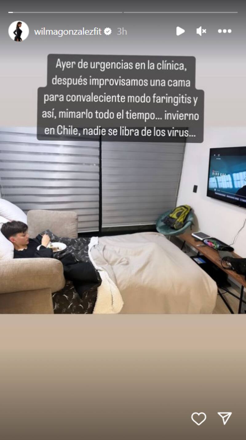 A través de las historias de su cuenta de Instagram, Wilma González compartió una foto de su hijo, quien tuvo que ser llevado de urgencias al hospital.