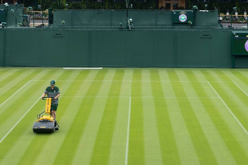 Se necesita cuidado quirúrgico para mantener la cancha de la Catedral.