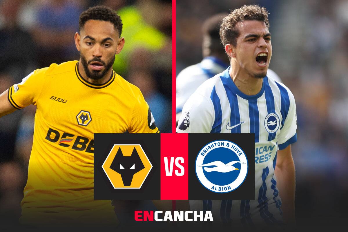 por la fecha 36 de la Premier League. Foto: EFE y Prensa Brighton.