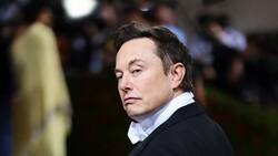 Tesla a la baja en Alemania: el 94% rechaza la marca por Elon Musk