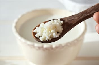 Yogur de pajaritos: Paso a paso para preparar kéfir casero con solo dos ingredientes