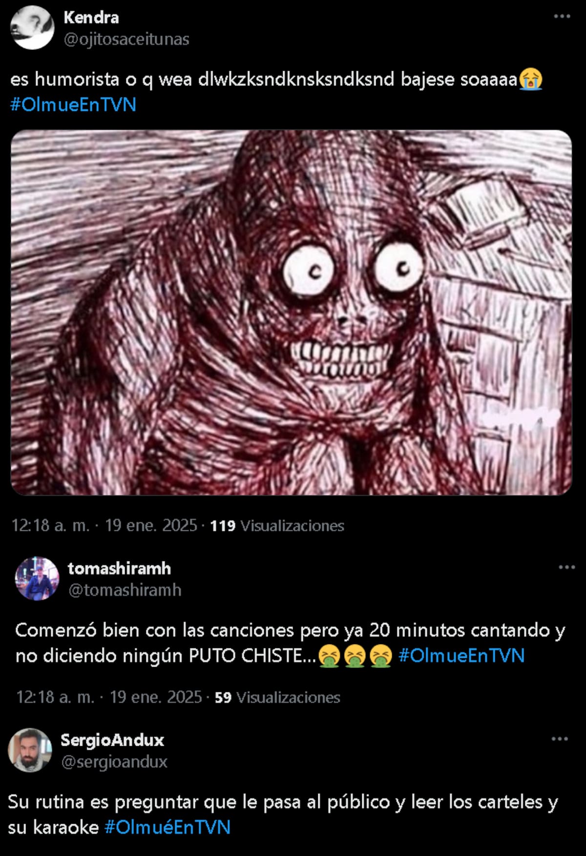 Críticas a la rutina de la humorista de Olmué 2025.