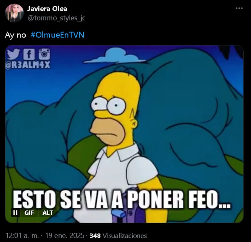 Críticas a la rutina de la humorista de Olmué 2025.