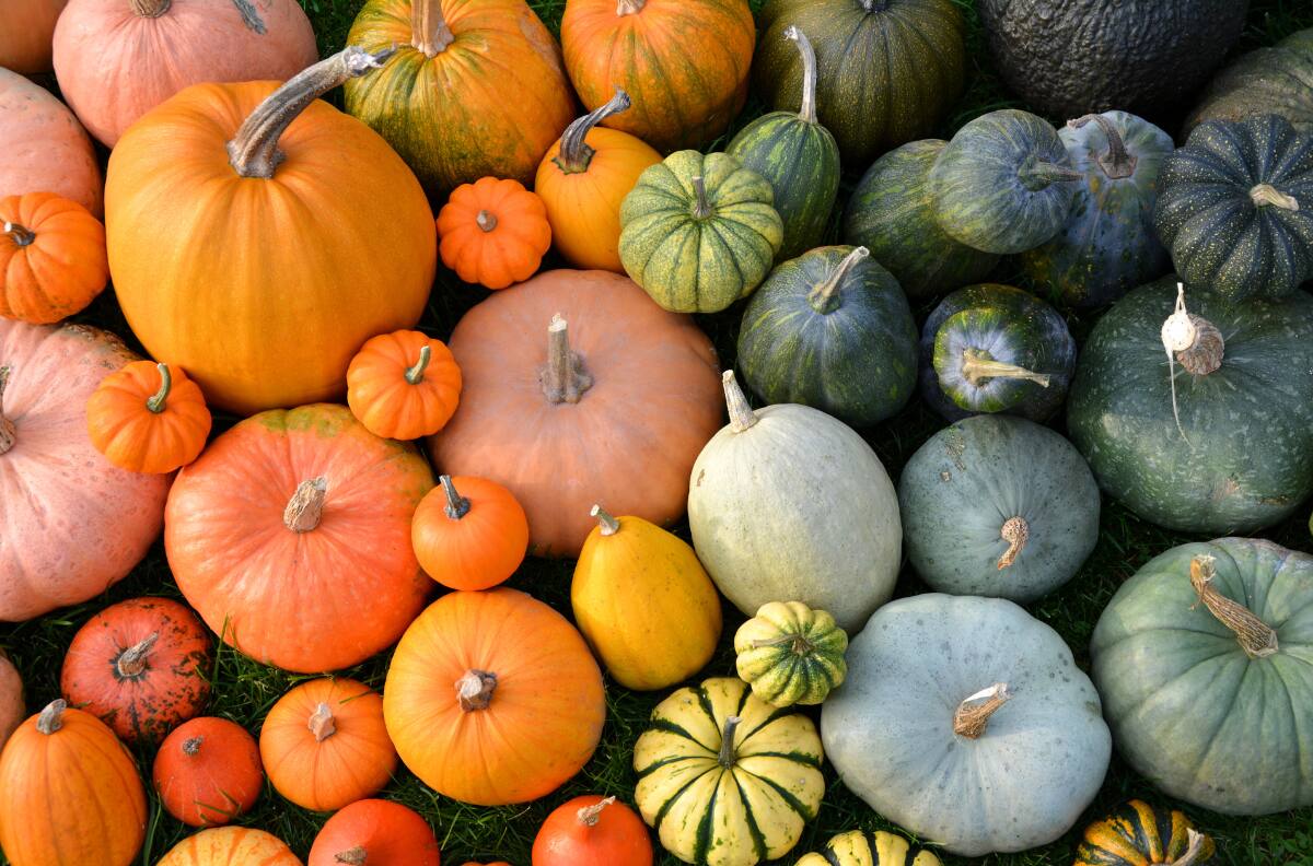 Este es el superalimento te ayudará a mejorar tu salud cardiovascular y reduce el riesgo de cáncer